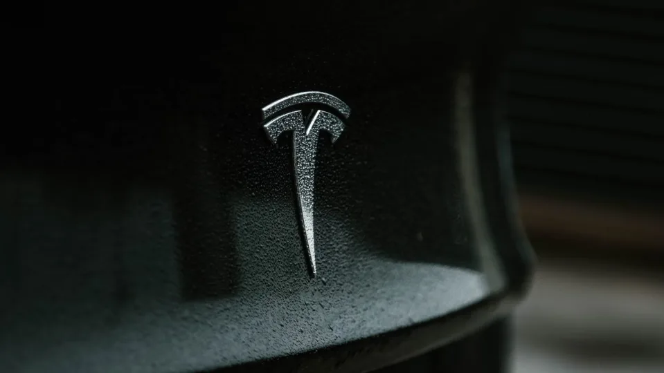 Tesla sues Swedish agency over licensing rights