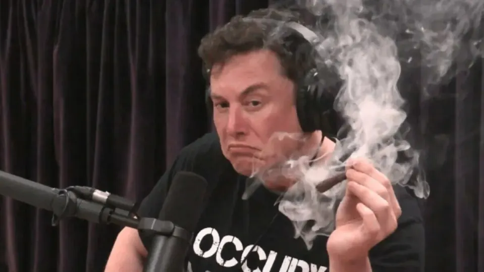 Elon Musk has not undergone therapy and wants the public to know