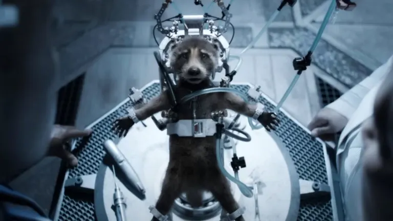 “La mejor película sobre derechos de los animales”: PETA elogia a Guardianes de la Galaxia Vol. 3