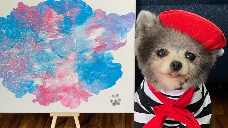 Pomcasso: el perrete que pinta cuadros… para salvar su propia vida