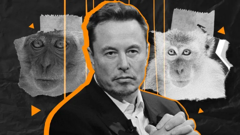 Los chips cerebrales de Elon Musk han acabado con la vida de un grupo de monos