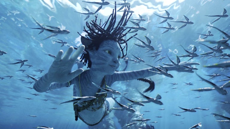 James Cameron no vuelve n…