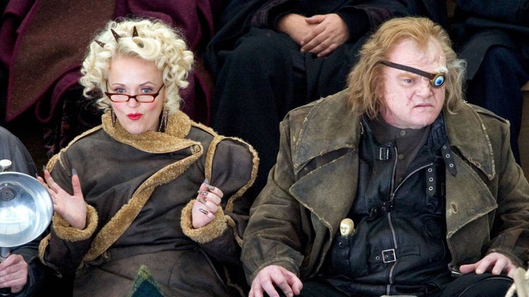 Harry Potter vuelve al ci…