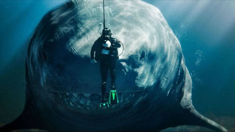 The Meg 3 sigue sin confi…