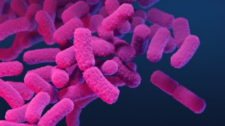 CDC publica nuevas cifras…