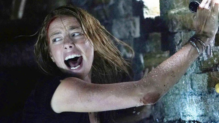 Crawl ya está disponible …