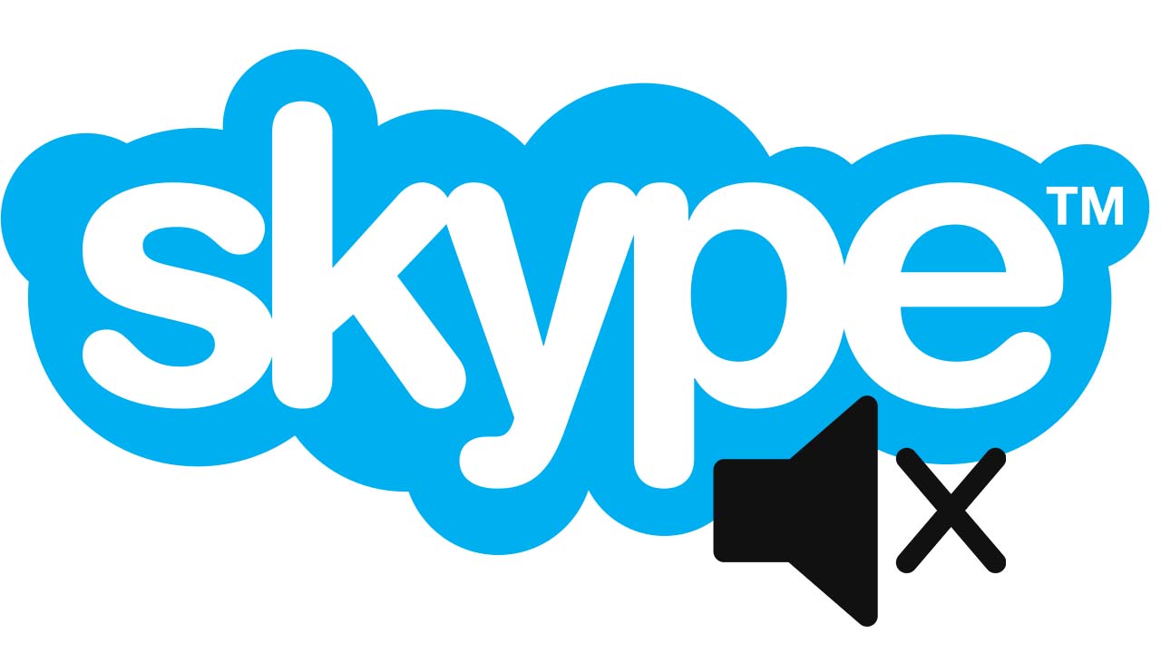 Skype lets you mute the p…