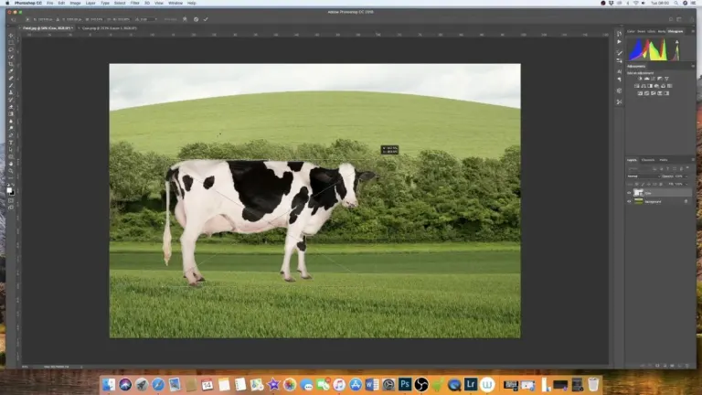 How to Add an Image to a Layer in Adobe Photoshop In 3 Steps