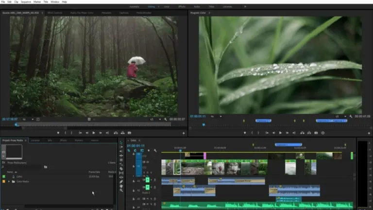 Image of article: What Is Adobe Premiere an…