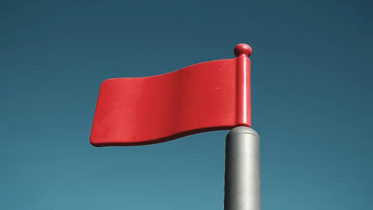 Image of article: The big red flag of LLMs