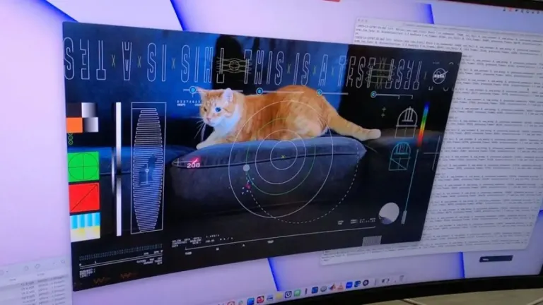 NASA has beamed an 8K video of cats using a laser over a distance of more than 28 million kilometers