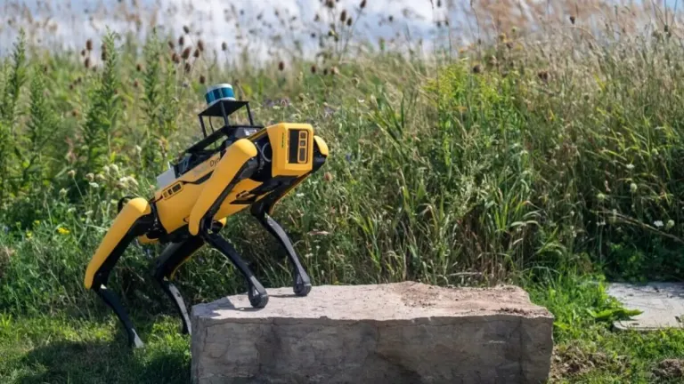 The latest job of the robot/dog Spot: scaring wild animals