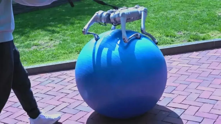 This robot does better yoga than you