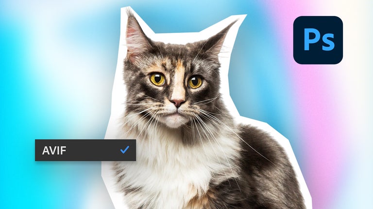 AVIF vs JPEG XL: next-gen…