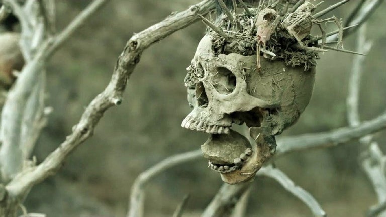 One of Stephen King's fav…
