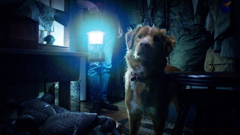 This horror movie is fasc…