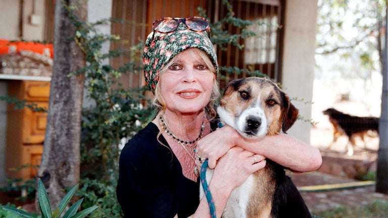 Brigitte Bardot has died …