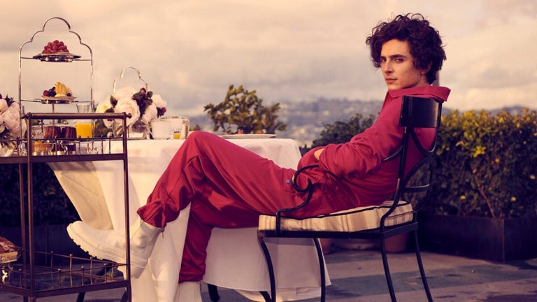 Timothée Chalamet compare…