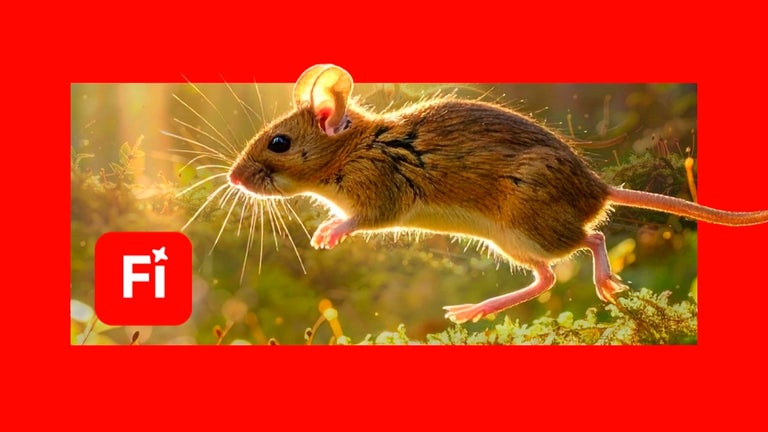 From text to video versus…