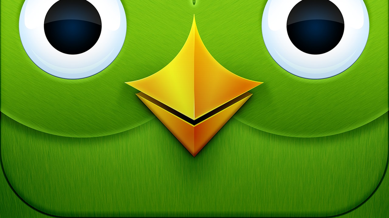 Por qué dejé Duolingo y p…