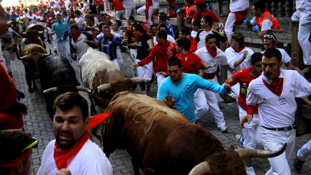 Imagen del artículo: De las Fallas a San Fermí…
