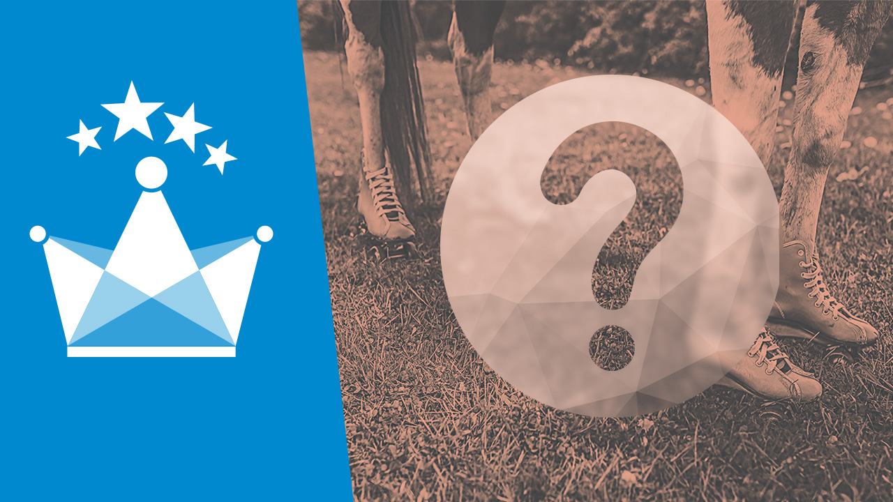 Las apps Android más rara…