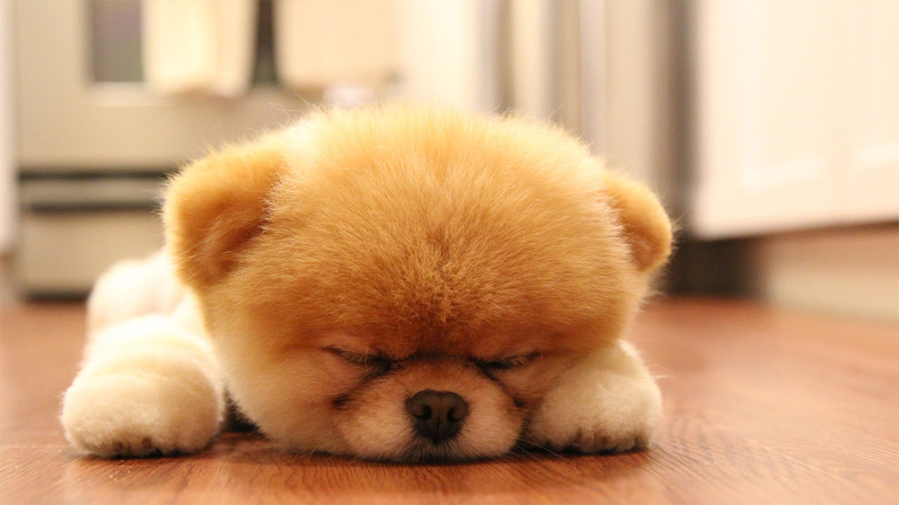 Imagen del artículo: 5 trucos para convertir t…