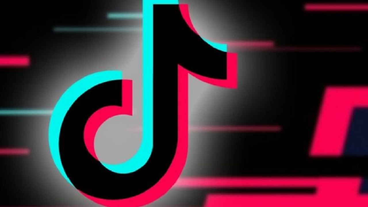 TikTok arrasa en descarga…