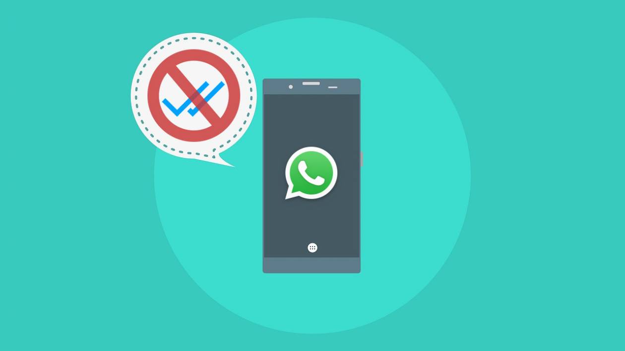 WhatsApp: cómo ver los es…