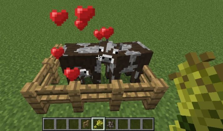Minecraft: cómo obtener e…