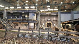 Amazon se apresura a elim…