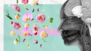 Imagen del artículo: Google lanza Osmo: una IA…