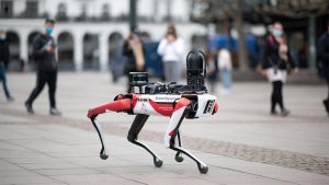 Imagen del artículo: Estos robots están aprend…