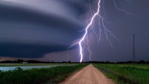 Imagen del artículo: La IA llega a tu aplicaci…