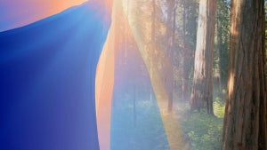 Imagen del artículo: Apple había escondido un …