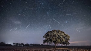 Imagen del artículo: La NASA habría provocado …