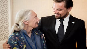 Leonardo DiCaprio rinde u…