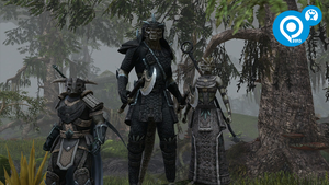 Image of article: The Elder Scrolls Online …
