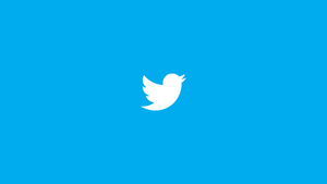 Image of article: Twitter starts Google Pla…