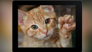 iPad and Android tablet g…