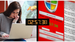Image of article: Beat Cryptolocker, the vi…