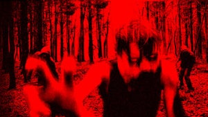 Image of article: Surviving The Hunting Par…