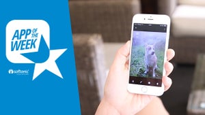 Image of article: App of the Week: Google P…