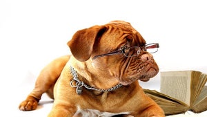 Image of article: Customize Your Office 200…