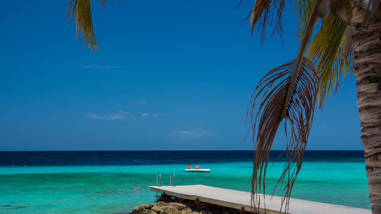 5 apps that will make you…