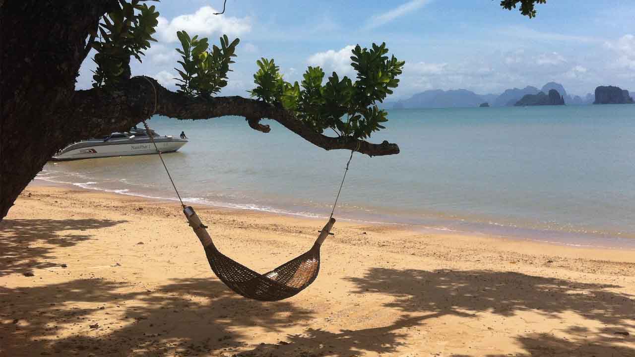 This Free app Will Make y…