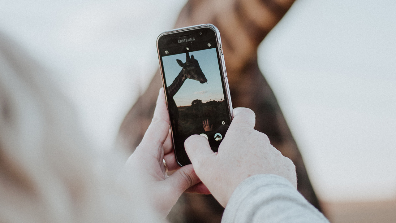 5 ways to improve your Sn…