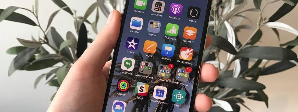 iPhone X 2018: The model …