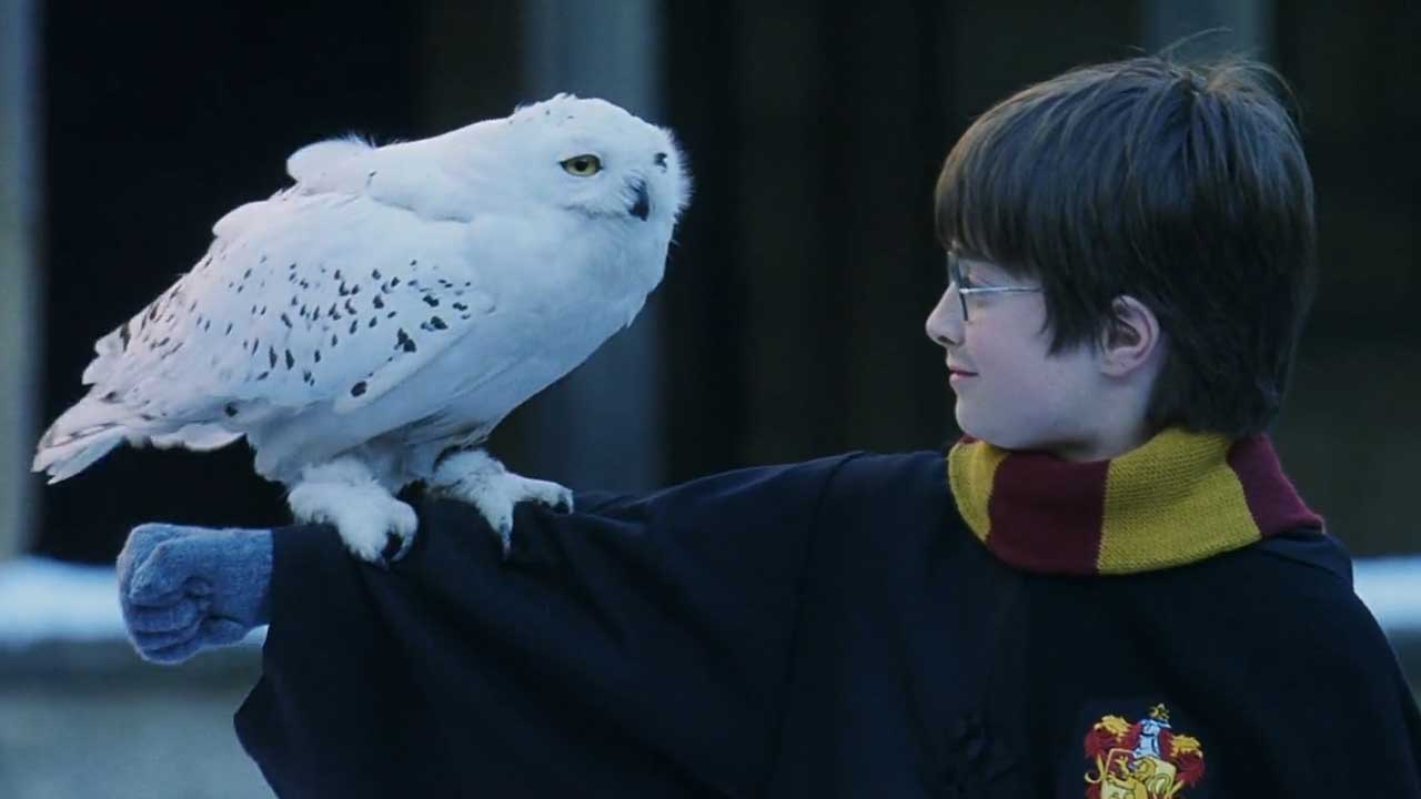 Top 8 Harry Potter YouTub…