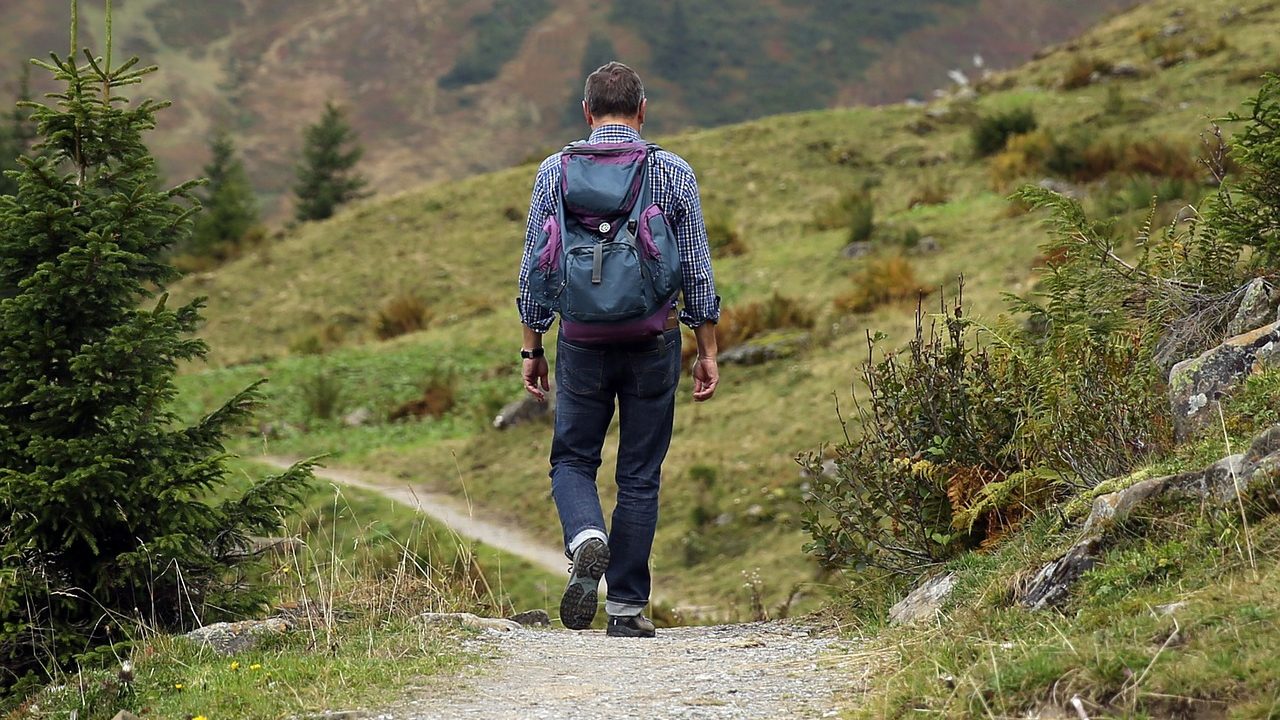 Image of article: 4 best apps for hiking